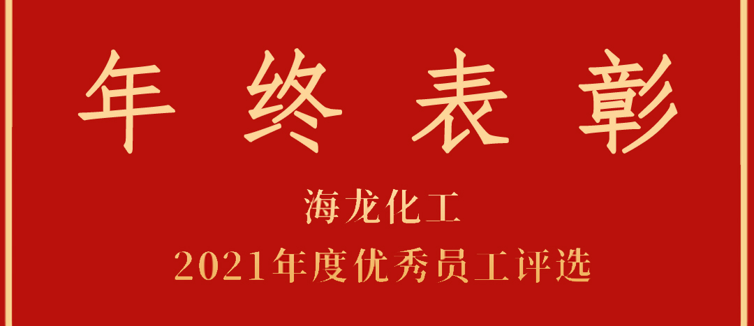 <strong>表彰！海龍化工2021年度優(yōu)秀員工優(yōu)秀部門評選</strong>