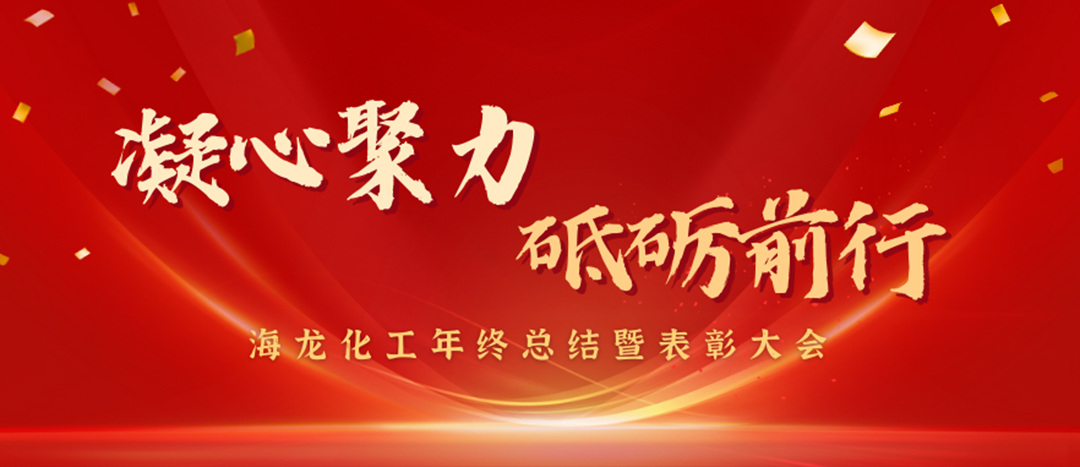 表彰 | 凝心聚力，砥礪前行，海龍化工年終總結(jié)暨表彰大會圓滿舉行